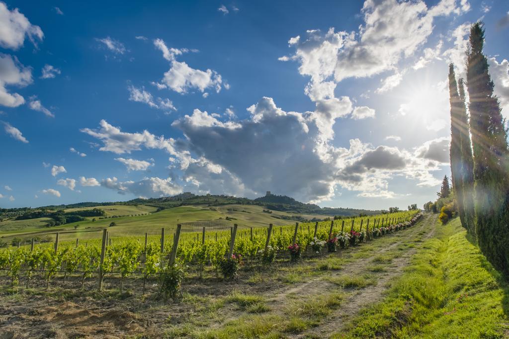 Agriturismo Poggio Istiano Bagno Vignoni Exteriér fotografie
